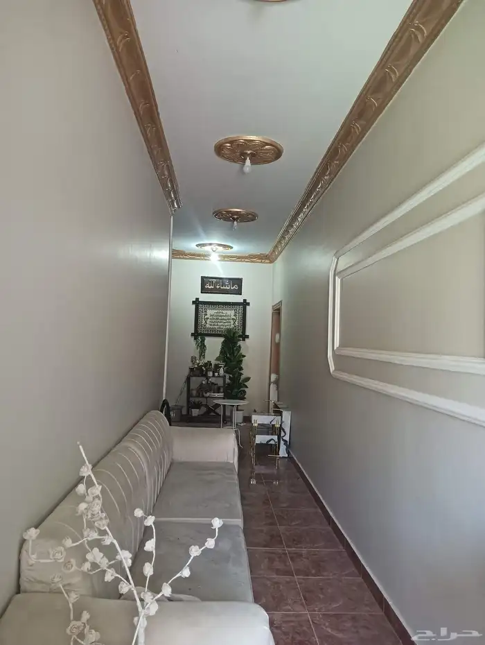 ماشاءالل  ه معلم دھان شغل بوا داخلي خارجي 0  903   0 8