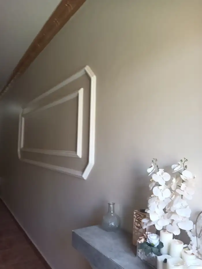 ماشاءالل  ه معلم دھان شغل بوا داخلي خارجي 0  903   0 7