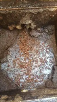 شركة رش حشرات وغسيل كنب بالبخار بجده 4