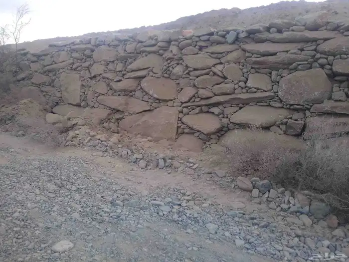 محايل عسير البرك قنا الحريضه 0