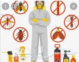 شركة رش حشرات وغسيل كنب بالبخار بجده 0