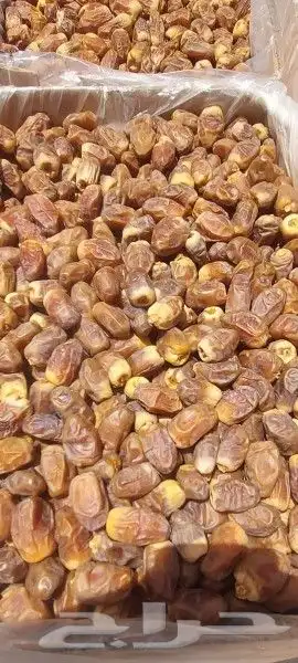 يوجد تمر صقعي طيب 0