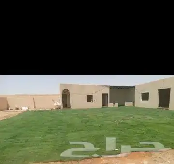 ثيل طبيعي خالي من الحشيش تمديد شبكه الري وقص الأشجار 7