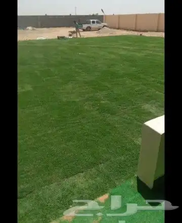ثيل طبيعي خالي من الحشيش تمديد شبكه الري وقص الأشجار 6