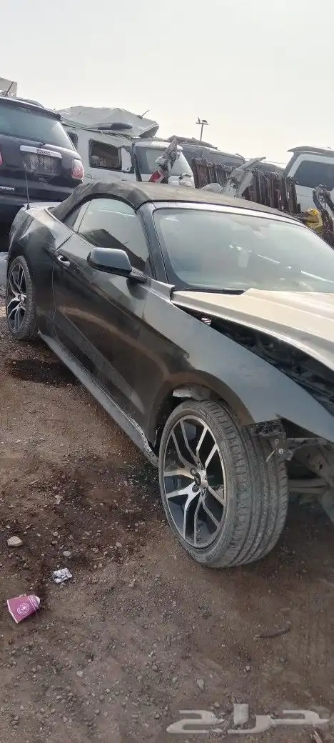 موستنج 2015 2