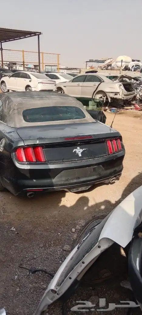 موستنج 2015 0