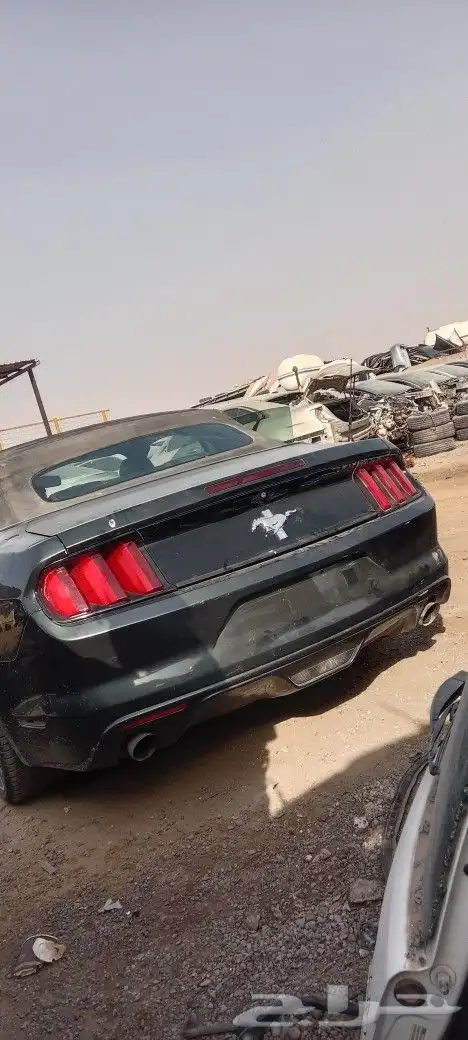 موستنج 2015 1
