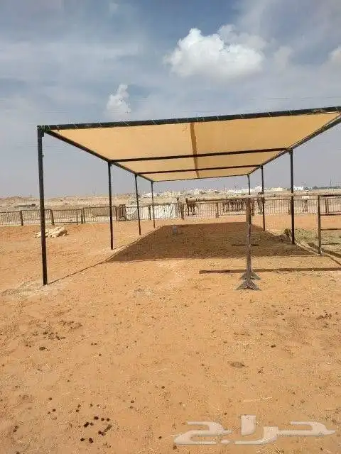 مظلات ابل مظلات غنم 6