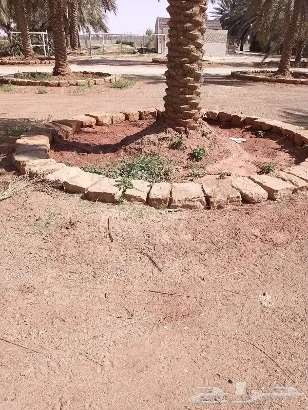 لتواصل علا الرقم الموجود 0