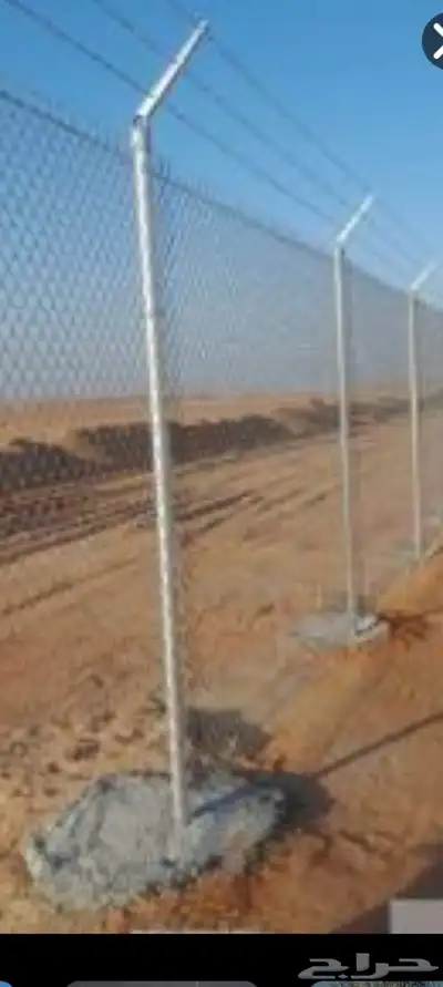يوجد لدينا جميع انواع النخل والش نخل 7