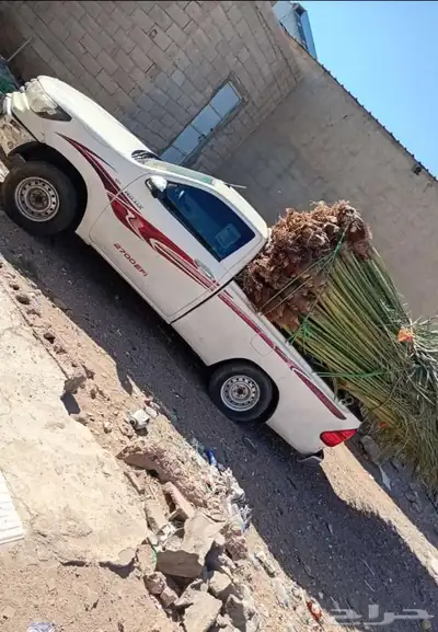 ابوسجاد توريد جميع انواع النخل وتكريب جميع انواع الشبوي 17