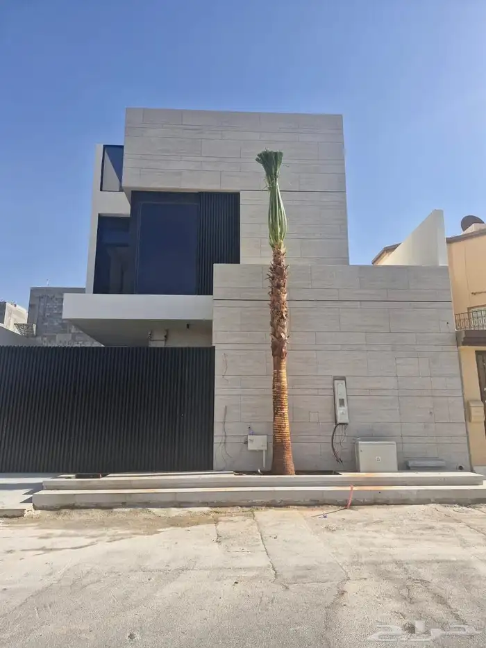 نخل واشنطن زينه بجميع مقاساته المختلفه 14