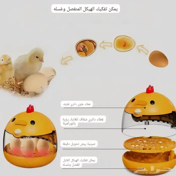 فقاسة صغيرة عدد 5 بيضات 9