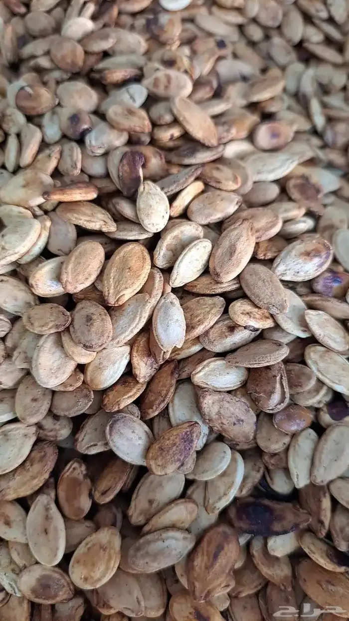منتجات الجنوب .حلاويات.مشبك 7
