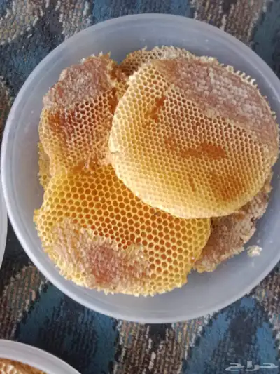 عسل شمع نضيف 4