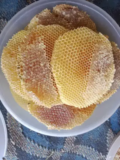 عسل شمع نضيف 3
