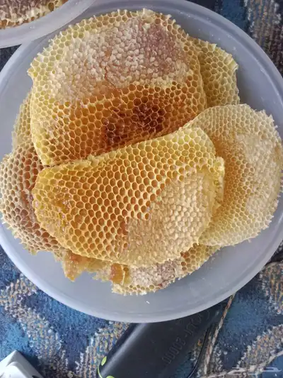 عسل شمع نضيف 2