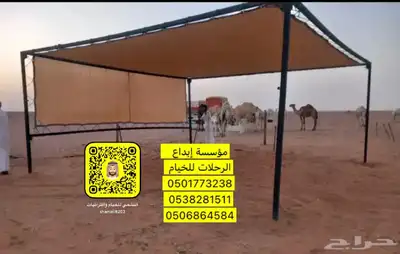 مضلات آبل 19