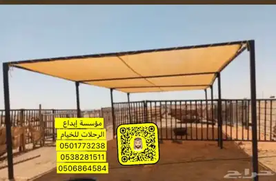 مضلات آبل 17