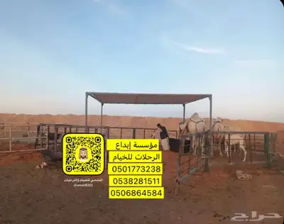 مضلات آبل 7