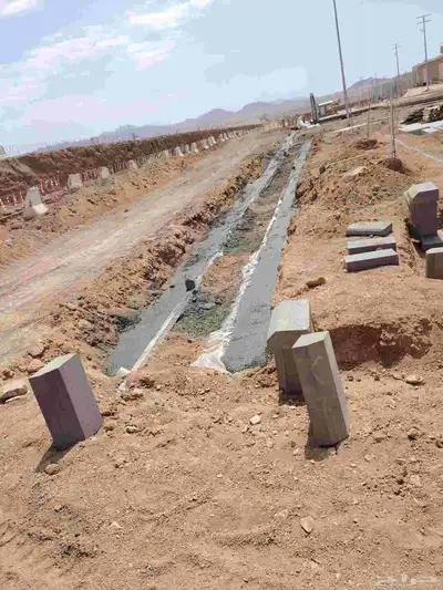 معلم باكستاني بلادور اندلك بلات سلاميك ذبيت أجر رياض 2
