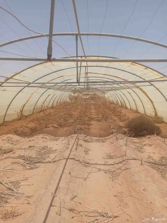 يوجد لدينا بيوت محميه عادي مجلفن 4 قطع اردني العدد 30 10