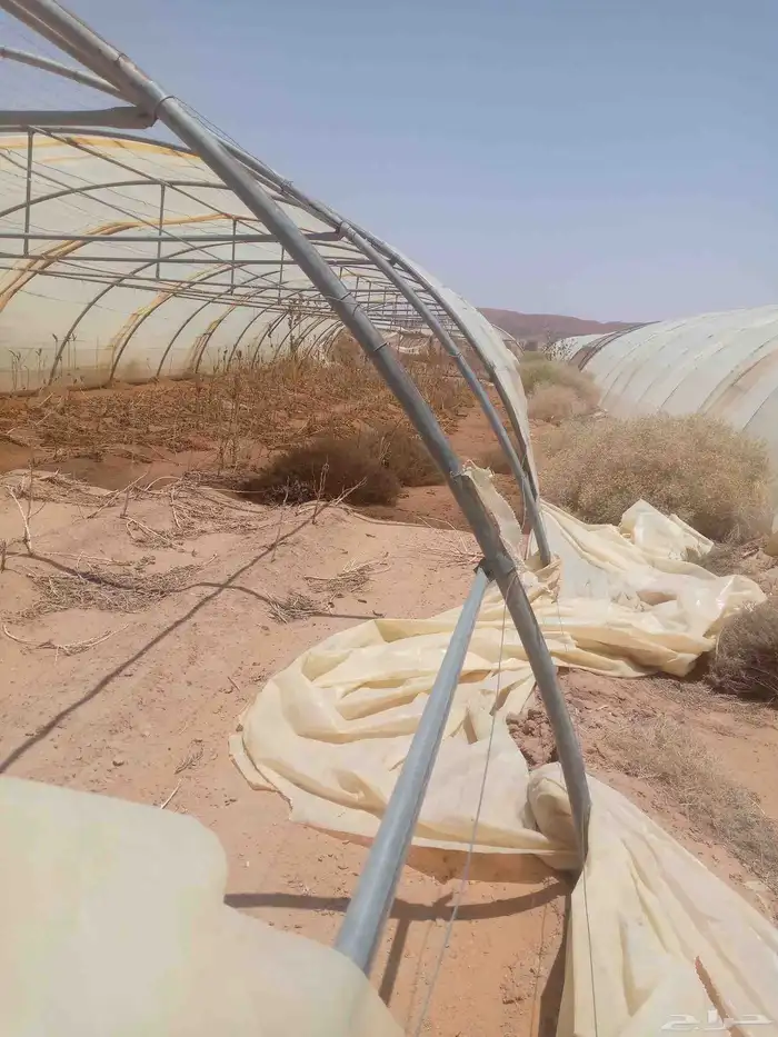 يوجد لدينا بيوت محميه عادي مجلفن 4 قطع اردني العدد 30 5