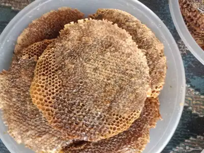 عسل شمع نضيف 1