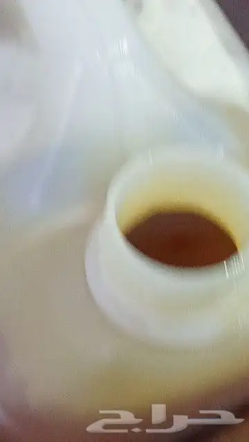 عسل سدر درجة أولى وعسل سمره ملكي سعره طيب 7
