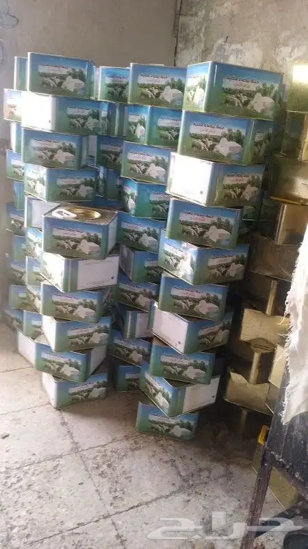 جبنه عرب مقليه 1
