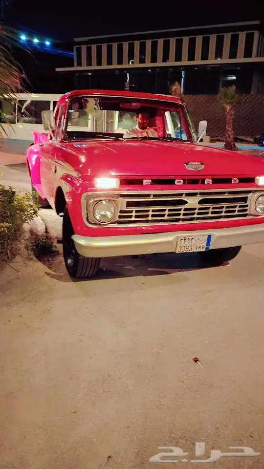 إيجار خيول و جمال رحوال و سياسي و حنطور وباسعار مناسبه 4