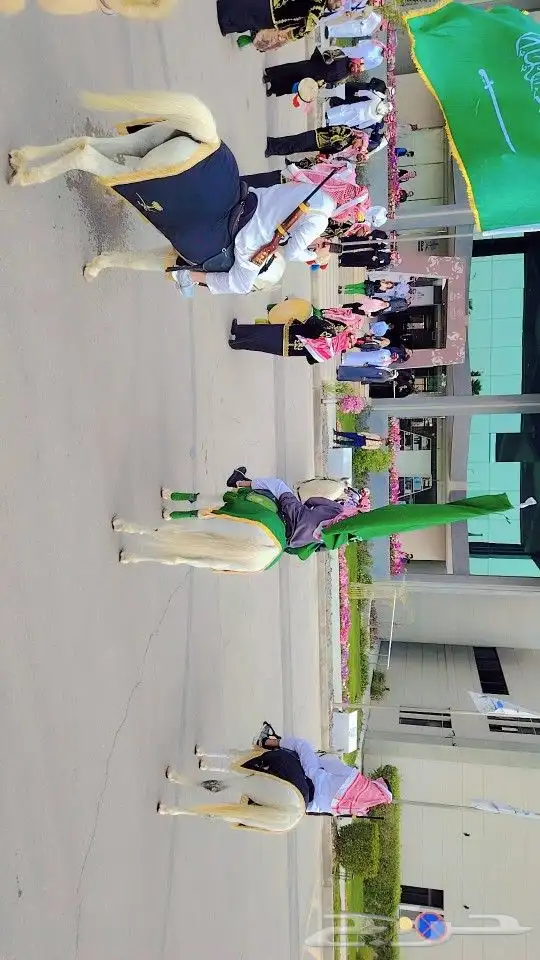 إيجار خيول و جمال رحوال و سياسي و حنطور وباسعار مناسبه 7