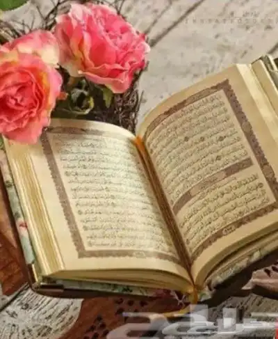 معلمه قران كريم بالتجويد خريجه الازهر 0