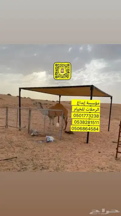 مضلات آبل 1