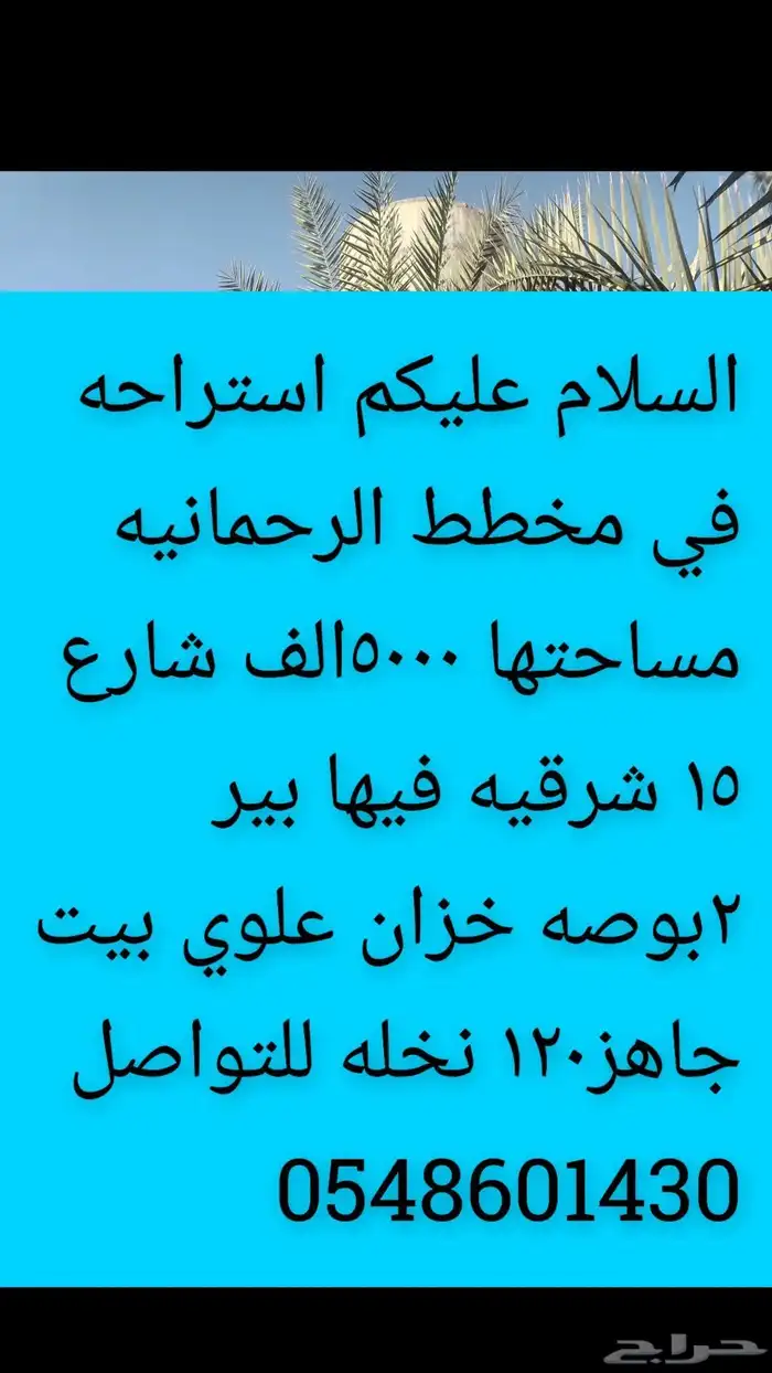العفجه نجديه الرحمانيه الشديده الرفايع العتيق الدلم نعجان 3
