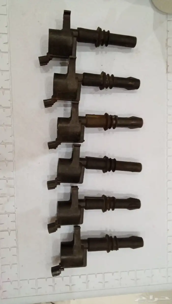 عدد 6 كويلات 0