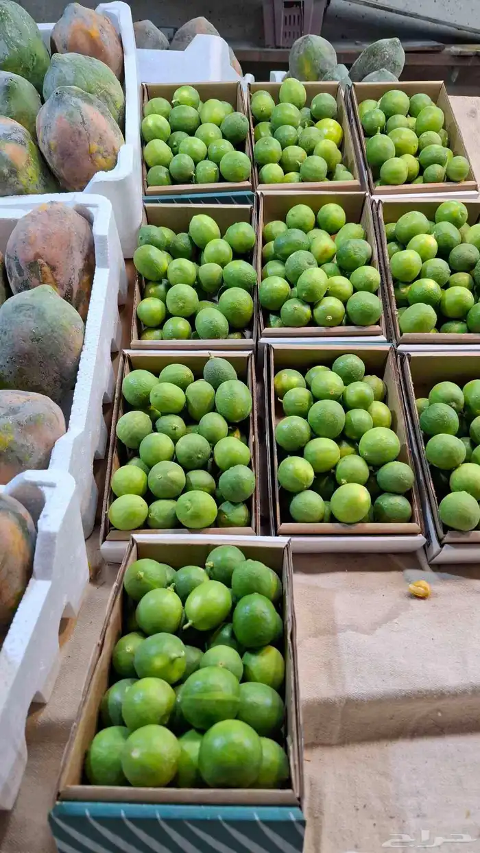 كراتين رطب وليمون كراتين المنتجات الحساوية 3
