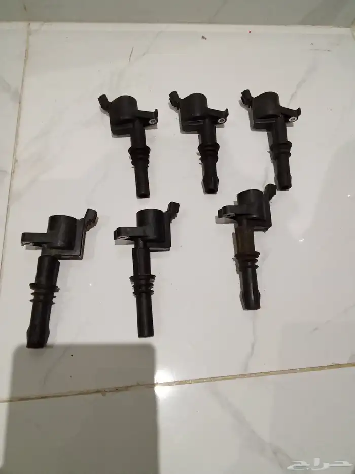 عدد 6 كويلات 1