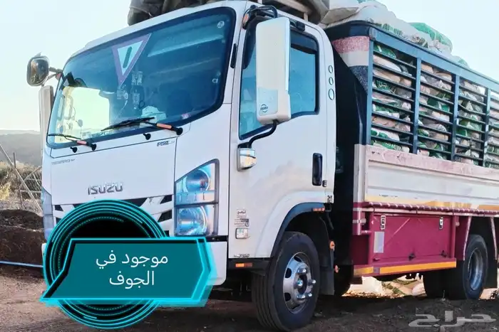 ديانا شبك تحميل جميع أنحاء المملكة 0