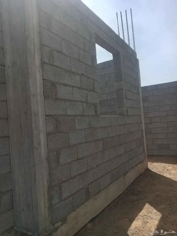 مقاول مصرى عضم 7