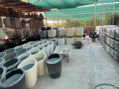 تنسيق حدائق جازان جلسات خارجيه أحواض زراع عشب صناعي بديل خشب 6