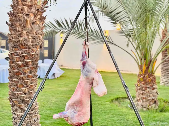 معلم مشويات 4