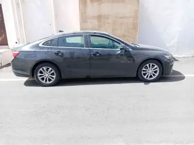 كداد للرياض والحافظ الله 0