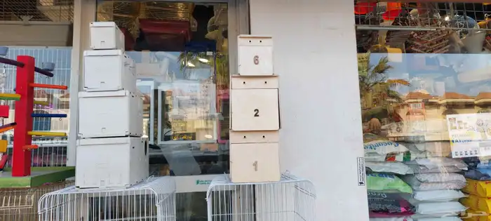 جميع انواع البيضات الخشب والبلاستيك 1
