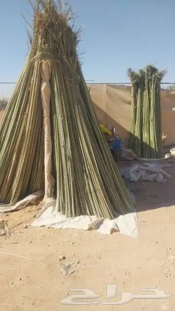 نشتغل جميع أعمال التراثيه بنيان المجالس والمساجد والاستراحات 5