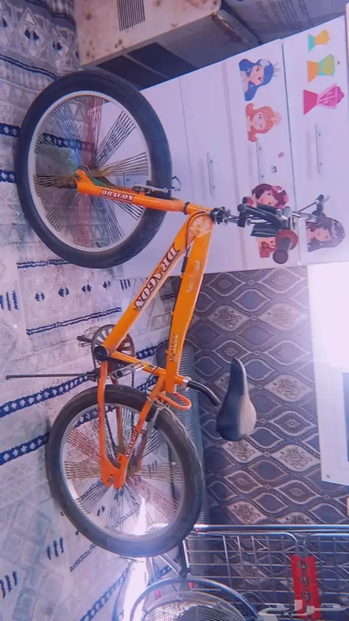 سيكل او عجلة دراجون مقاس 24 استعمال بسيط جدا 1