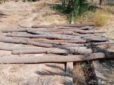 السلام عليكم ورحمه الله وبركاته يوجد جميع الانواع الاخشاب 0