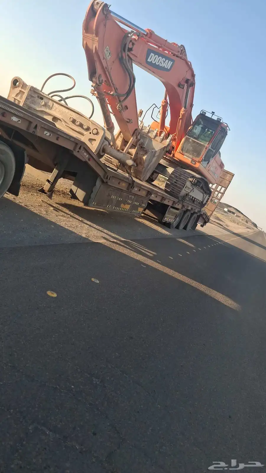 لوبد متواجد في المدينه الحناكيه. مهد الذهب 0