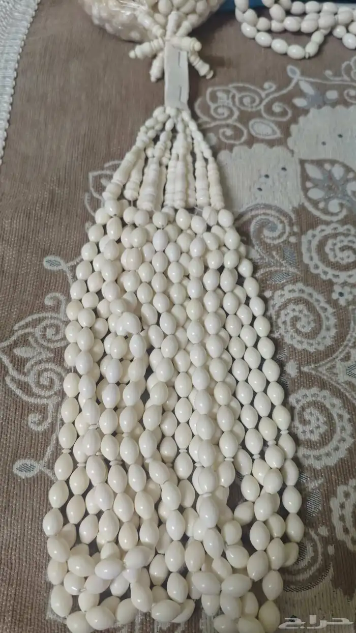 عظم جمل 3