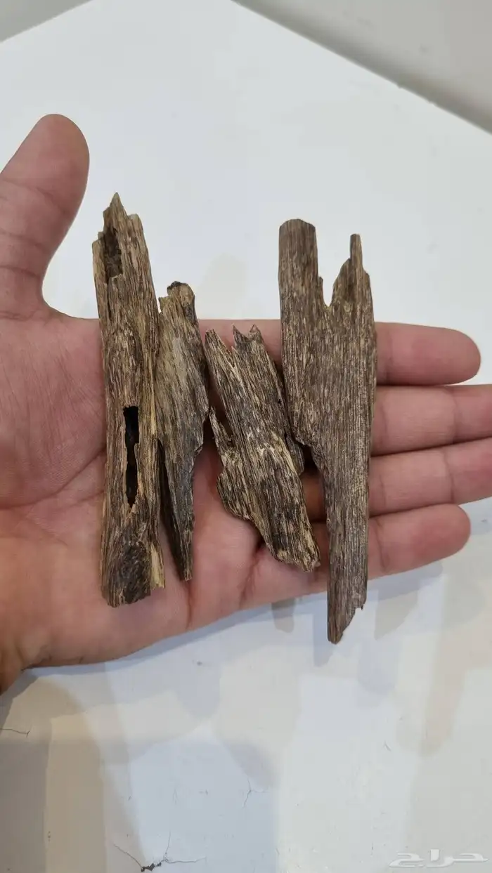 عود هندي ناجلاند طبيعي 1